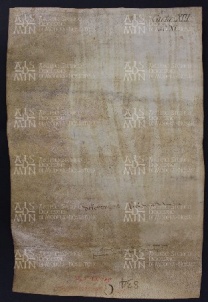 13 B.7.XIIIv, Donazione fatta da Raimondo da Magreta a favore di Varino vescovo, Magreta, [1013-1014, set. 25]
